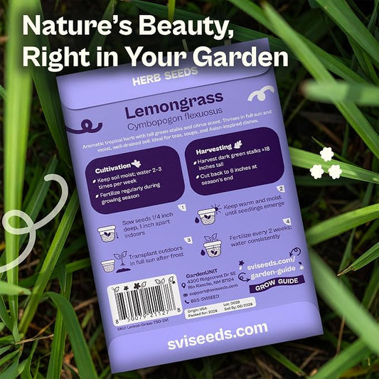 SVI 750 Lemongrass Seeds (Cymbopogon flexuosus) – West Indian Lemon Grass Seed Packets – Non GMO Heirloom Aromatic Culinary Herb Seeds for Containers, Outdoor & Indoor Herb Garden