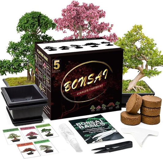 Bonsai Tree Kit with Complete Growing Tools, Grow in Pot Indoor Bonsai Tree Starter Kit, Great Home Gardening DIY Gift for Adult