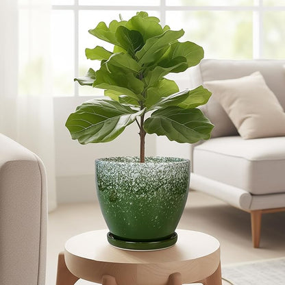 Ceraimc Plant Pot - 6.3 Inch Planter with Drainage and Plant Tray, Round Succulent Planters, Decorative Flower Pot for Indoor, Room Office Patio House Decor, Gifts for Women Men, Green
