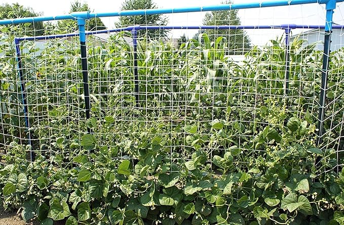 Soft Mesh Nylon Trellis Netting Roll - 5 x 350 ft Heavy Duty Garden Netting for Climbing Plants,Garden Melons Vegetables, Grape Racks, Hydroponic, 5x350ftnet