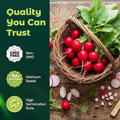 1000 Heirloom Cherry Belle Radish Seeds for Planting – Fast-Growing, Crisp & Mild Flavor, High Germination, Ideal for Home Garden & Container