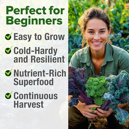 HOME GROWN Heirloom Vegetable Seeds Vegetable Seeds for Planting Home Garden, Beans, Carrots, Peppers, Cucumber, Kale, Pepper Seeds, Tomato (4 Kale)
