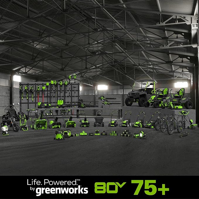Greenworks 80V 16" Brushless Cordless Chainsaw (Great For Tree Felling, Limbing, Pruning, and Firewood / 75+ Compatible Tools), 2.0Ah Battery and Charger Included