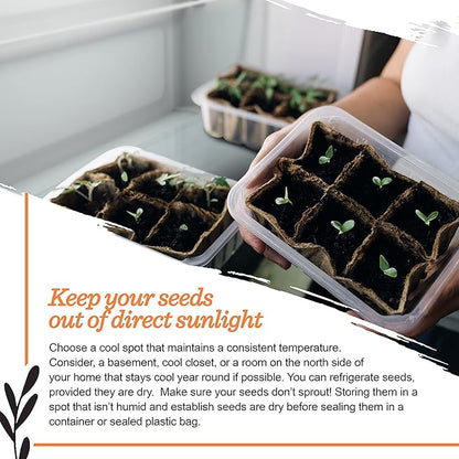 Seed Starter Kit – Harvest Garden | Non-GMO | Heirloom Seed Packets | Natural Wood Row Markers | Sustainable Healthy Living | Thanksgiving Garden | Fall Harvest