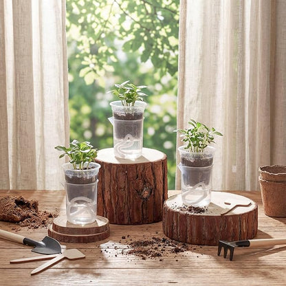30 Pcak 2.2'' Small Self Watering Planters for Indoor Plants Mini Clear Pots with Water Level Indicator Plastic Automatic-Watering Pot with Drainage Holes for Semi-hydroponic African Violet