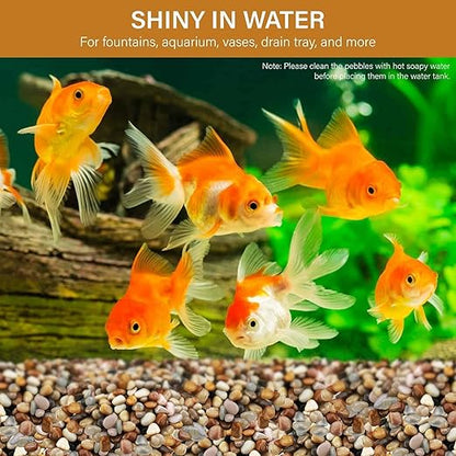 NUPICK 12lb River Rocks for Plants Indoor, 1/5 Inch Mixed Pebbles for Vase Fillers, Decorative Pea Gravel for Fish Tank, Natural Polished Stones for Succulent, Bonsai, Landscaping, Bird Baths