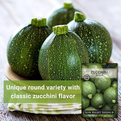 Sow Right Seeds - Round Zucchini Seed for Planting - Non-GMO Heirloom Packet with Instructions to Plant a Home Vegetable Garden - Unique Globe Squash - Summer Vining Variety (4)
