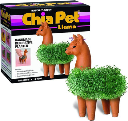 Chia CP439-01 Pet Llama Decorative Pottery Planter, Easy to Do and Fun to Grow