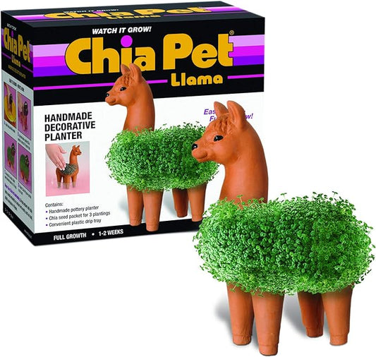 Chia CP439-01 Pet Llama Decorative Pottery Planter, Easy to Do and Fun to Grow