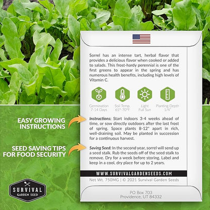 Sorrel Seeds for Planting - Large Leaf Garden Sorrel - Cool Weather Perennial Vegetable for Edible Leafy Greens - Heirloom Non GMO - Survival Garden Seeds (2 Packs)