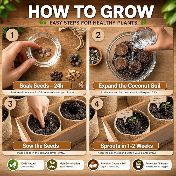 Bonsai Tree Starter Kit for Beginners - 5 Unique Japanese Bonzai Tree Seeds, Complete Indoor DIY Growing Kit, Perfect Gardening Gift for Adults, Men & Women