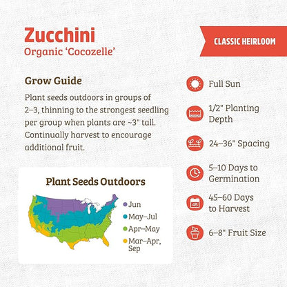 Back to The Roots 100% Organic Heirloom Seeds - Zucchini Squash Value Pack (5.6g Total)