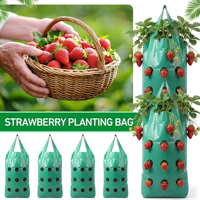 50 Pack Hanging Strawberry Planter Grow Bags, 9 Hole Plastic Hanging Vertical Planters, Upside Down Garden Bags with Reinforced Handles for Outdoor Wall Strawberries, Cherry, Tomatoes, Flowers, Tomato