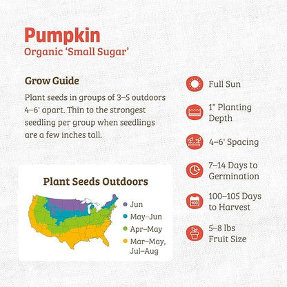 Back to The Roots 100% Organic Heirloom Seeds - New England Pie Pumpkin Value Pack (5g Total)