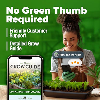 HOME GROWN Georgia Southern Collard Green Seeds – Bulk 2 Pack (600 High-Germination Non-GMO Heirloom Seeds) – for Planting in Vegetable Gardens (Brassica oleracea).