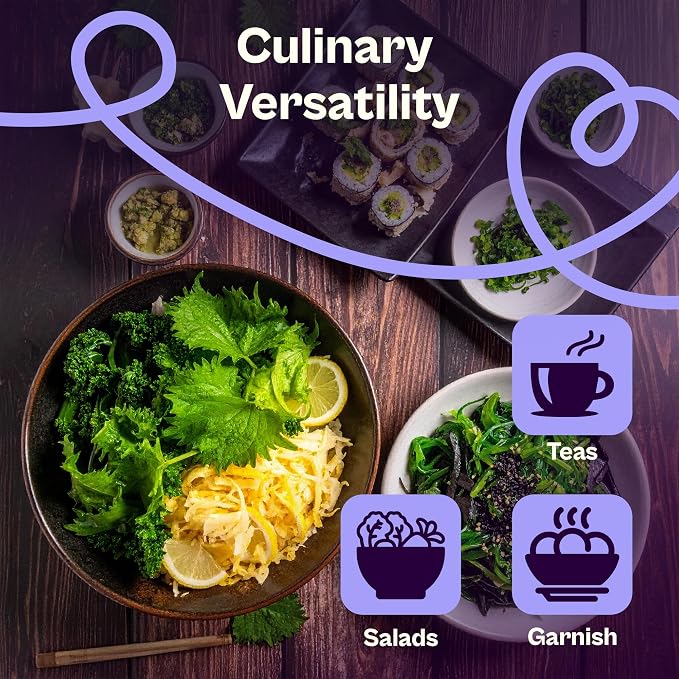 SVI 350 Green Shiso Seeds (Perilla frutescens) – Japanese Shiso Perilla Seed Packets, Aromatic Leaves – Japanese Heirloom Herb Seeds Outdoors & Indoor Herb Garden