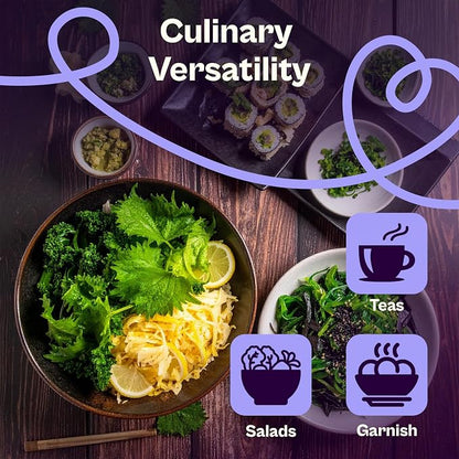 SVI 350 Green Shiso Seeds (Perilla frutescens) – Japanese Shiso Perilla Seed Packets, Aromatic Leaves – Japanese Heirloom Herb Seeds Outdoors & Indoor Herb Garden
