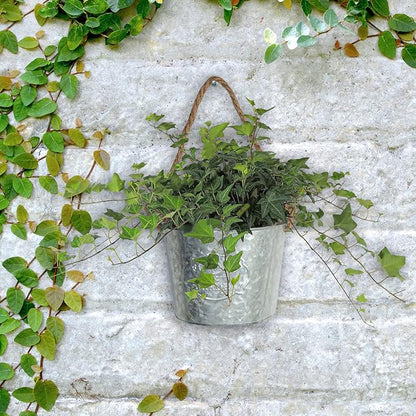 XONOR 4Pcs Galvanized Metal Hanging Wall Planter, Rustic Wall Flower Vase for Succulents Herbs Country Home Farmhouse Wall Decoration (1)