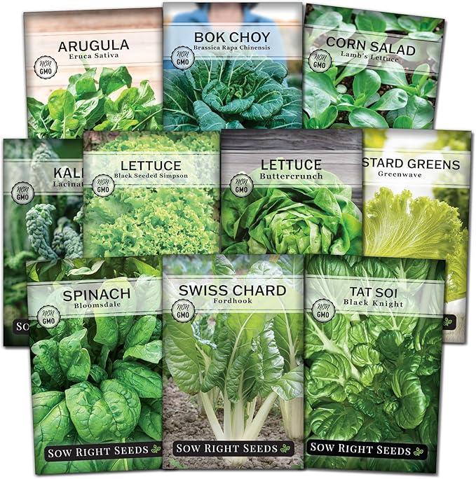Sow Right Seeds - Large Greens Seed Collection for Planting - Spinach, Arugula, Kale, Lettuce, Tat SOI, Pak Choi and Rainbow Swiss Chard - Non-GMO Heirloom - Plant and Grow a Home Vegetable Garden