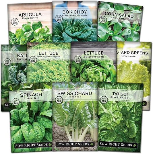 Sow Right Seeds - Large Greens Seed Collection for Planting - Spinach, Arugula, Kale, Lettuce, Tat SOI, Pak Choi and Rainbow Swiss Chard - Non-GMO Heirloom - Plant and Grow a Home Vegetable Garden
