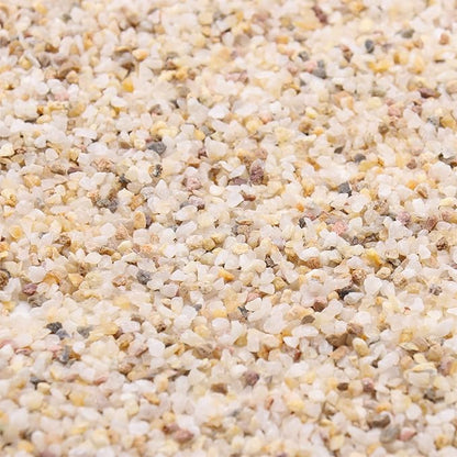 Coarse Sand. Golden Color. 1/8 Inch 10 lbs. for Potting Soil, Succulents, Pots, Plants, Gardening, Indoor, Crafting, Vase Fillers, Landscaping (X-Mini, COARSE Sand - Golden, 10)