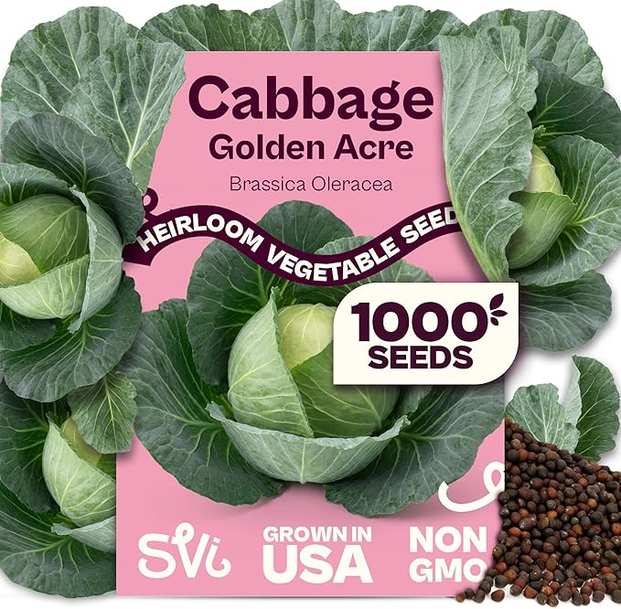 SVI 1000 Golden Acre Cabbage Seeds (Brassica Oleracea) - Green Cabbage, Fast-Growing Heirloom Seed, Non GMO - Great Vegetable Seeds in Seed Packets for Outdoors, Vegetable Garden Beds
