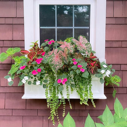 Mayne Fairfield 3ft Window Box, Self Watering Flower Box with Double Wall Design, All Season Fade Resistant Outdoor Window Planter With Steel Mounting Bracket, White