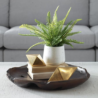 Uttermost 60238 Boston Fern - Ceramic Pot-14 Inches Tall and 14 Inches Wide