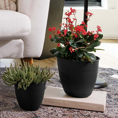 Bloem Dayton 6" Black Recyled Plastic Planter Pot with Drainage Holes and Removable Saucer for Indoor and Outdoor Gardening