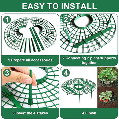 5 Sets Strawberry Plant Support with Wire Plant Protectors, 12.9"x 11.8" Wire Plant Cages and Strawberry Growing Racks, Animal Protection for Strawberry Tomato Garden Vegetables Plants