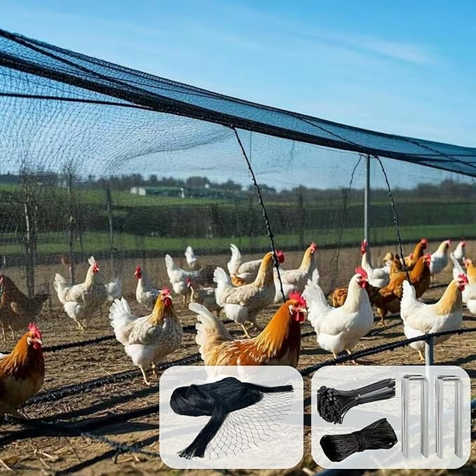 50 x 50 FT Bird Netting for Garden, 1" Square Mesh Size Heavy Duty Nylon Chicken Coop Netting for Blueberry Bushes, Fruit Trees and Vegetable Against Birds, Deer, Squirrels (50X50FT)