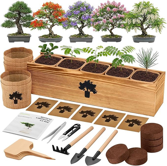 Bonsai Tree Kit - Complete Indoor Bonsai Starter Kit with 5 Unique Tree Seeds, Bonsai Tools - DIY Gardening Gift for Adults Women Men, Mom, Her, Friend (5 Bonsai Trees)