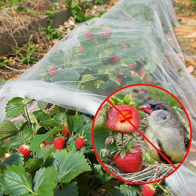 GonLei Garden Netting 10 X 30 FT Ultra Fine Garden Mesh Netting Protection Net Plant Cover Screen Vegetable Row Cover,Blueberry Netting Shrubs Fruits Tree Flowers Garden Screen Barrier Net