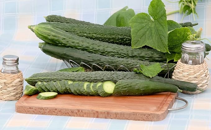 Seeds Cucumber Burpless Chinese Miracle Giant Long Rare Pickling Non GMO Vegetable for Planting