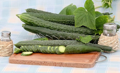 Seeds Cucumber Burpless Chinese Miracle Giant Long Rare Pickling Non GMO Vegetable for Planting