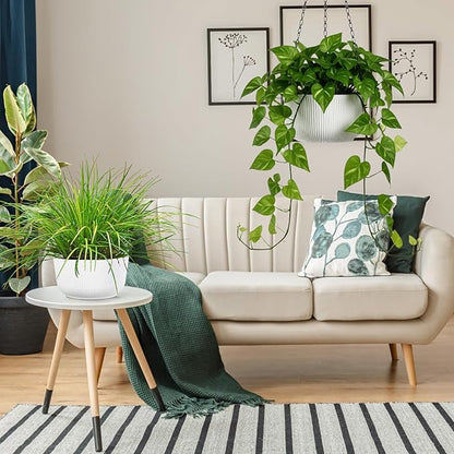 Set of 2 White Hanging Planters for Outdoor Indoor Plants, 10 Inch Self-Watering Hanging Plant Pots with Drainage Hole & Plug (Hooks)