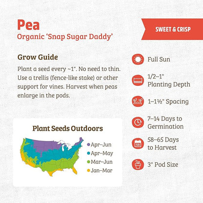 Back to The Roots 100% Organic Heirloom Seeds - Snap Pea Value Pack (16.8g Total)