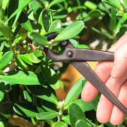 BambooMN Bonsai Basics Set - 8" Concave Cutter, 7" Heavy Duty Shear - 30 Sets