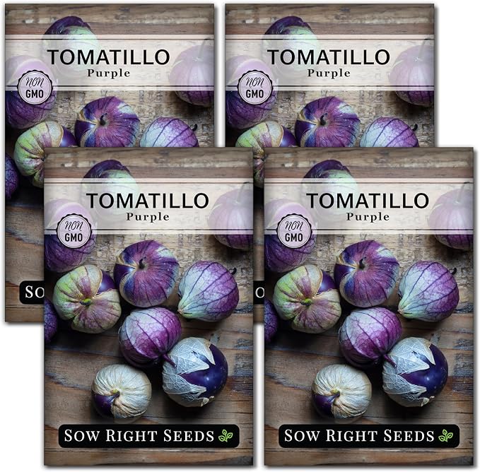 Sow Right Seeds - Purple Tomatillo Seeds for Planting - Non-GMO Heirloom Packet with Instructions to Plant an Outdoor Home Vegetable Garden - Mexican Husk Tomato - Ground Cherries Great for Salsa (4)