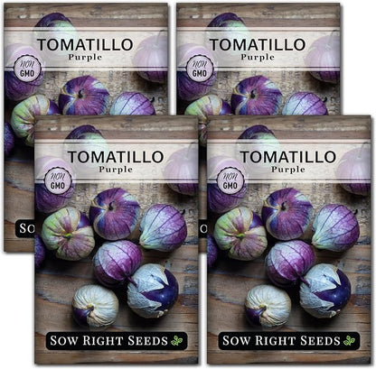 Sow Right Seeds - Purple Tomatillo Seeds for Planting - Non-GMO Heirloom Packet with Instructions to Plant an Outdoor Home Vegetable Garden - Mexican Husk Tomato - Ground Cherries Great for Salsa (4)