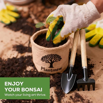 Christmas Gifts & Crafts for Adults - Bonsai Tree Starter Kit with 5 Unique Japanese Trees | Complete DIY Gardening Kit for Birthday | Gifts for Women, Men, Mom, Dad, Plant Lovers