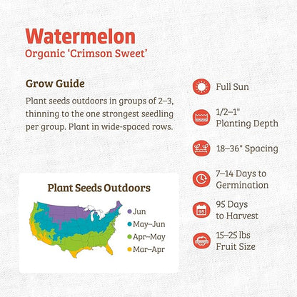 Back to The Roots 100% Organic Heirloom Seeds - Large Watermelon Fruit Value Pack (3.4g Total)