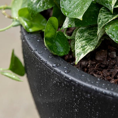 Step2 Fernway Round Planter, Large Planters for Outdoor Plants, Gardening and Flower Pot for Patio or Porch, Efficient Drainage, Durable Plastic, Onyx Black, 1-Pack
