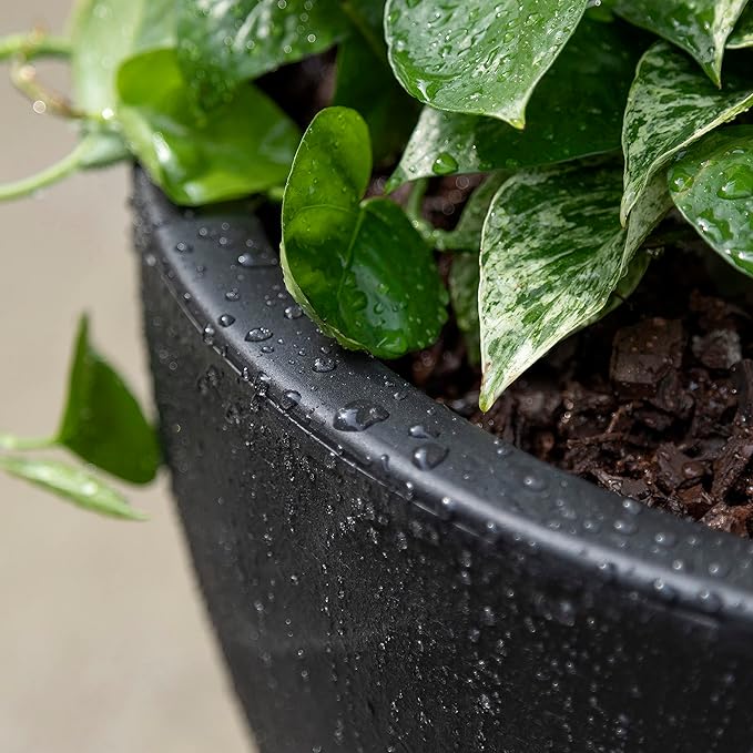 Step2 Fernway Round Planter, Large Planters for Outdoor Plants, Gardening and Flower Pot for Patio or Porch, Efficient Drainage, Durable Plastic, Onyx Black, 2-Pack
