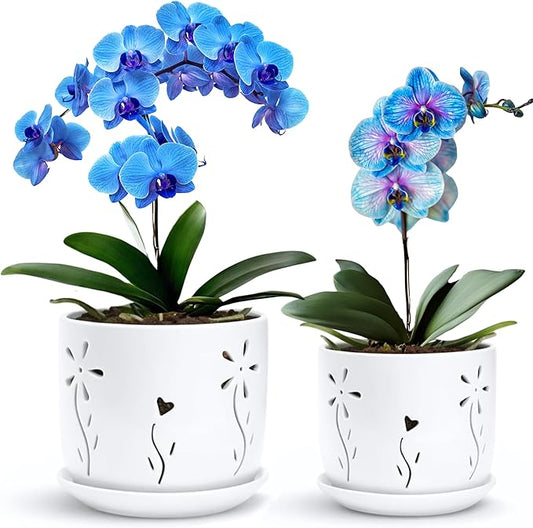 2 Pack, 5 + 6 Inch White Orchid Pots with Holes and Saucer, Ceramic Orchid Planters for Repotting with Drainage Holes and Tray, Plant Flower Pot containers for Orchid Indoor Outdoor