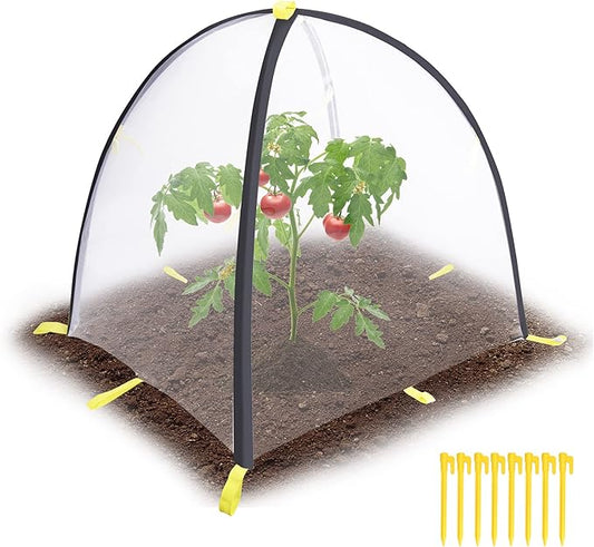 PURPLE STAR 1N 28 x28 x 33 Inch Insect Barrier Plant Tent Cover-Pest Guard Cover-Bird Barrier Netting Mesh with Stakes for Protect Plants Fruits Flower from Insect Bird Eating (1, M)