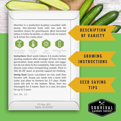Muncher Cucumber Seeds for Planting | Burpless Variety with Smooth Skin for Snacking or Slicing – Survival Garden Seeds (1 Pack)