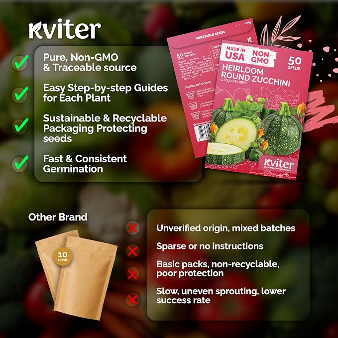 KVITER 50 Round Zucchini Seeds (Cucurbita Pepo) – Courgette Round Zucchini Squash Seed Packets, Non GMO Seed - Vegetables Seeds for Outdoor & Indoor Vegetable Garden and Containers