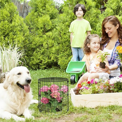 Garden Plant Protectors from Animals,Metal Plant Cage Chicken Wire Cloche with Ground Stakes and Nylon Tie,Garden Plant Protectors for Flower Vegetable to Keep Animals Out-11.8"x 12.6" (6)
