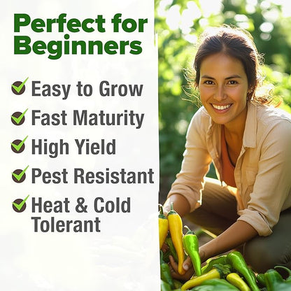 HOME GROWN Banana Pepper Seeds 2 Pack (Capsicum annuum) – 188 Heirloom Seeds, High Germination Vegetable Seeds – Growing Sweet Banana Peppers Indoors or Garden